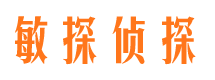 内乡市调查公司